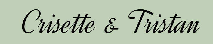 Trisette Logo Trisette Logo